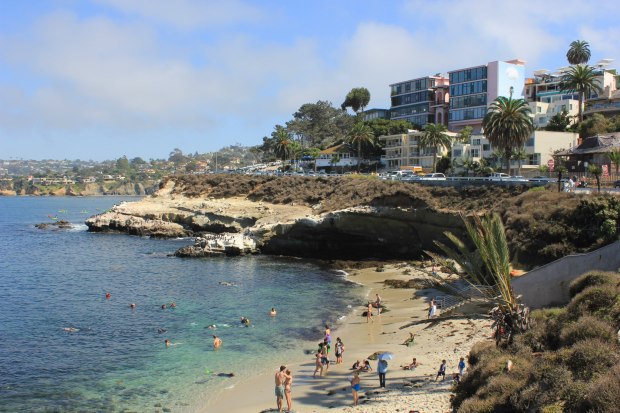 219036_10101033575453424_1399075481_o