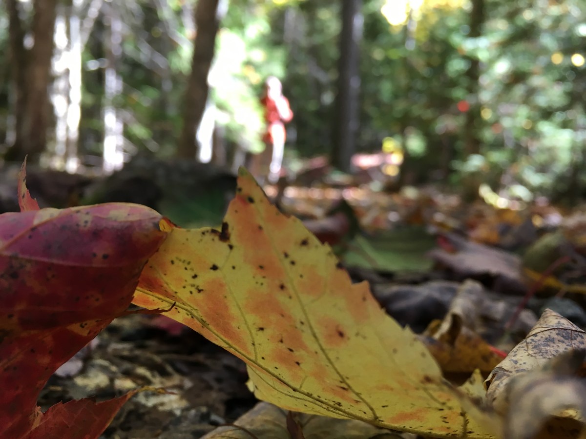 Acadia National Park in Maine