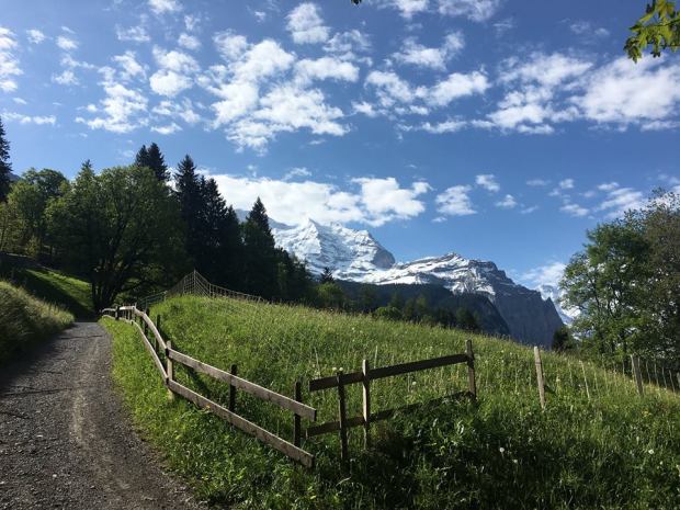 13510841_10103993285381004_2007348189123861940_n